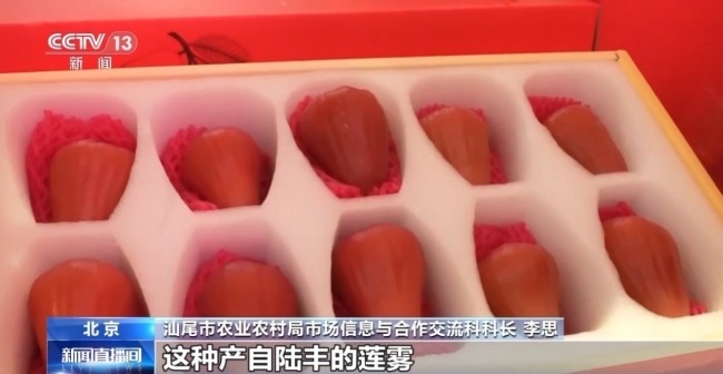 南货北上 年货“新”意足 年味更丰富