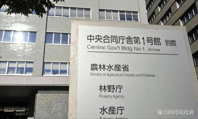 日本放人 光速认怂收场