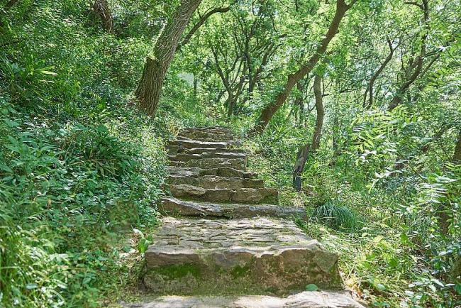 电钻打铁花、野路徒步 警惕网红玩法暗藏安全风险