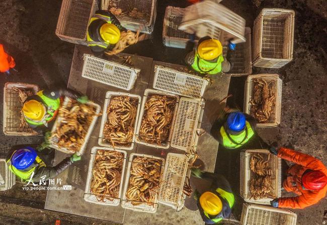 山东荣成：帝王蟹抢“鲜”通关 供应春节市场