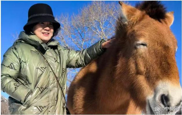 以梦为马 不亏心中醉心