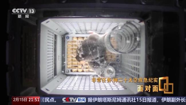 “鼠鼠乘组”在空间站加班餐食是豆浆