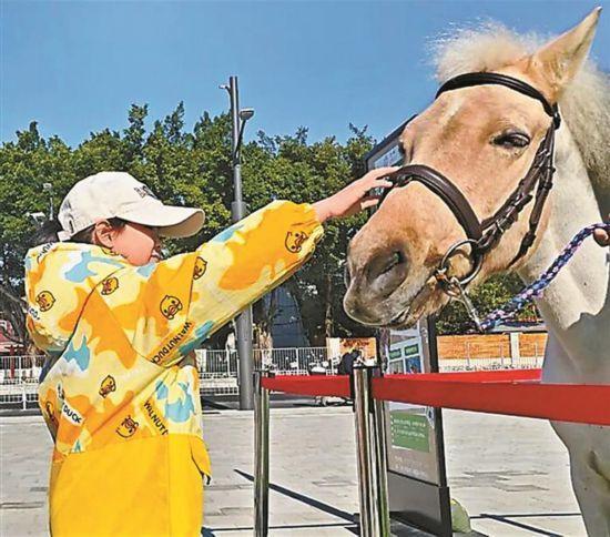 春节怎么玩?解锁你的新年仪式感