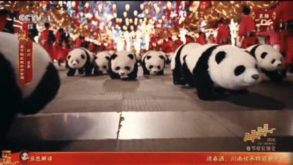 百台“机器熊猫”亮符合宾分会场