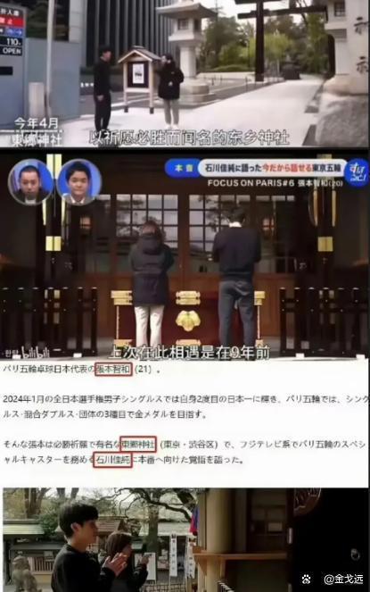 张本智和终为自己的“荒唐”买了单 声誉与竞技双输