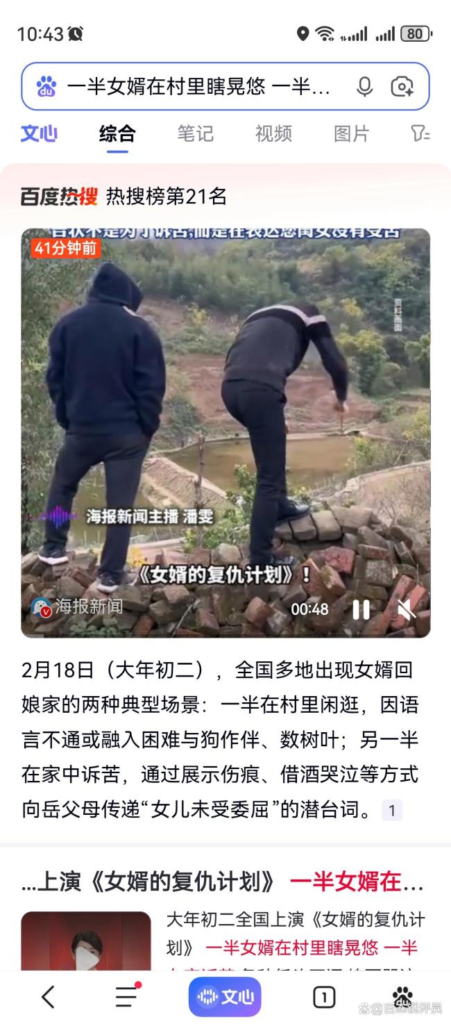 一半女婿在村里瞎晃悠 一半在家诉苦