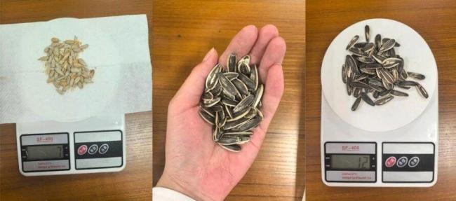 每逢佳节胖三斤？几招给身体“减负”