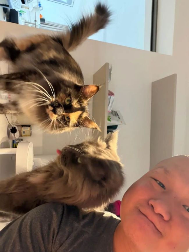 男生春节爆赚16万：每天睡3小时，上门喂猫订单爆满