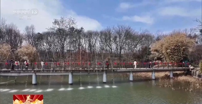 “年俗文化+科技” 各地特色活動感受別樣年味兒