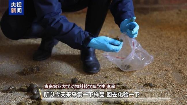 “骑马养马”成大学课程