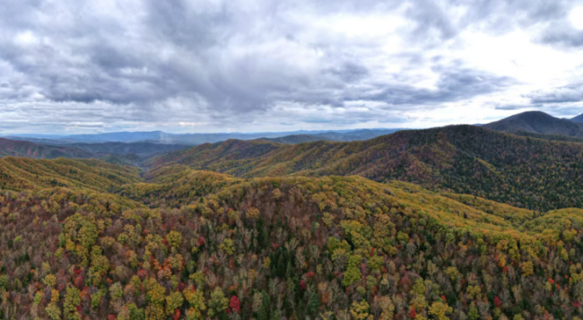 探秘东北虎豹国家公园 虎豹种群稳步增长
