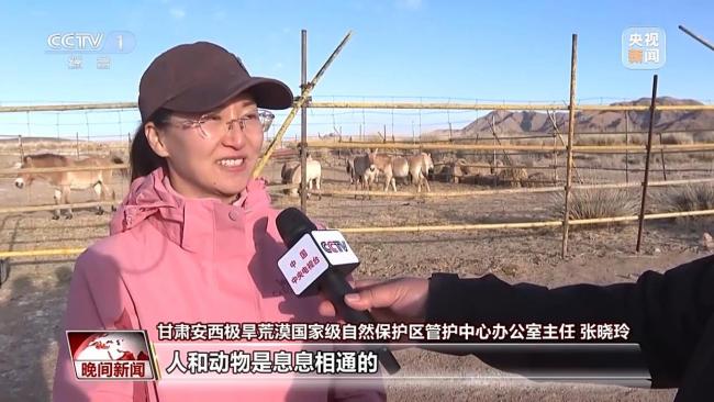 数千年来 人类与马如何和谐共生