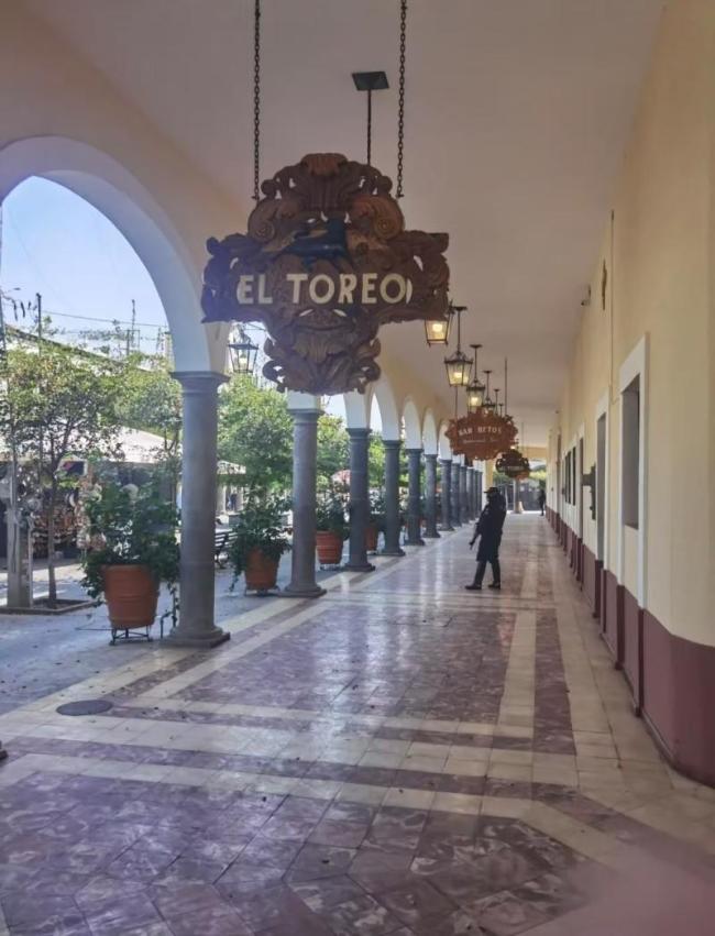 目击墨西哥骚乱的游客发声 亲历暴力冲突