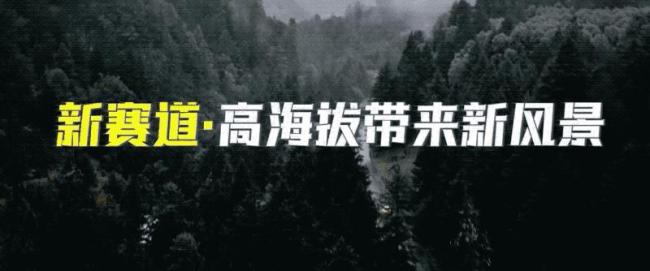 韩寒显现《奔驰东说念主生》有第四部；《奔驰东说念主生3》上映6天票房破25亿，不雅影东说念主次破5000万 赛车戏更燃更果真