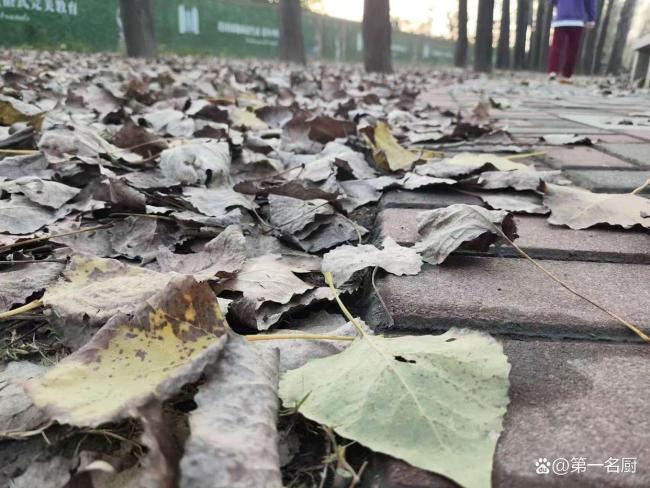 大岁首七为什么叫东谈主日节 庆东谈主诞祈东谈主安