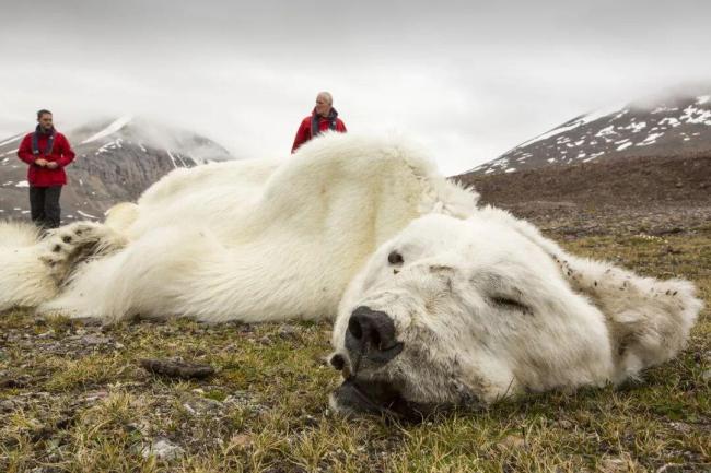 2026年，我们将继续面对失控的四季 适应变化求生存
