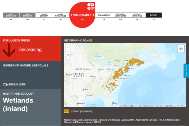 60%已消失,这种北美“河流清道夫”能熬到上保护名单吗? 和解协议带来新希望