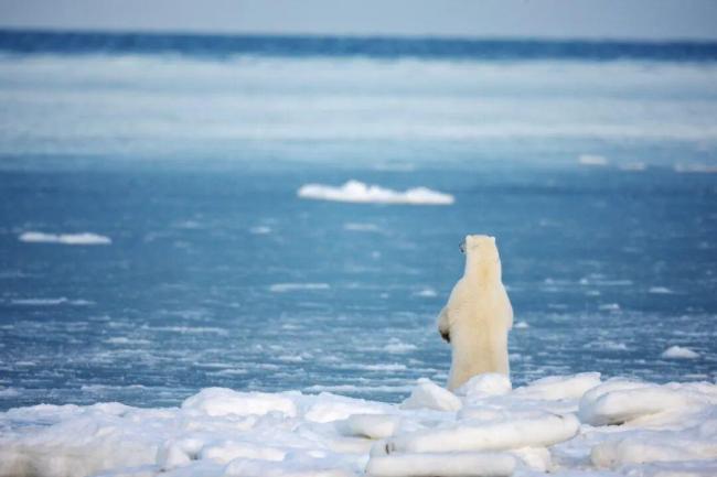2026年，我们将继续面对失控的四季