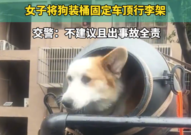 女子将狗装桶固定车顶行李架 警方：不建议且出事故全责！