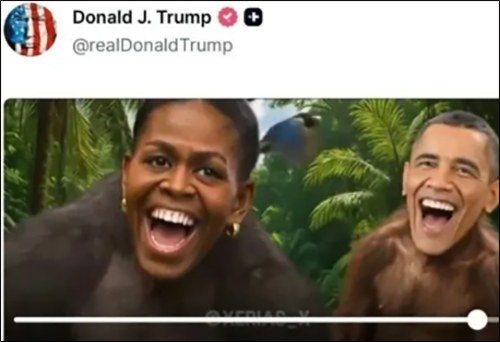 特朗普演讲时一议员举黑人不是猿横幅 抗议种族主义言论