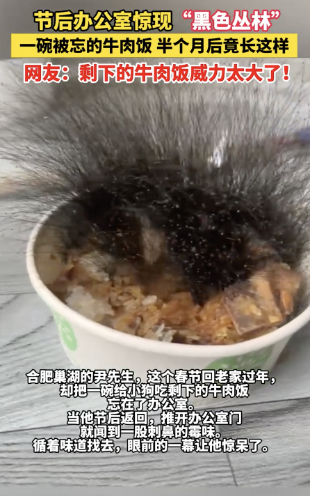 男子节后返工发现牛肉饭长出黑菌丝 办公室里的“黑色丛林”