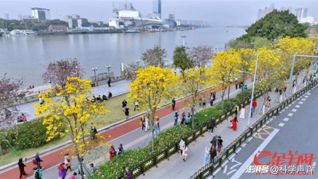 花提前开了!别高兴,地球生物钟正在剧烈波动 气候变化下的生态警钟