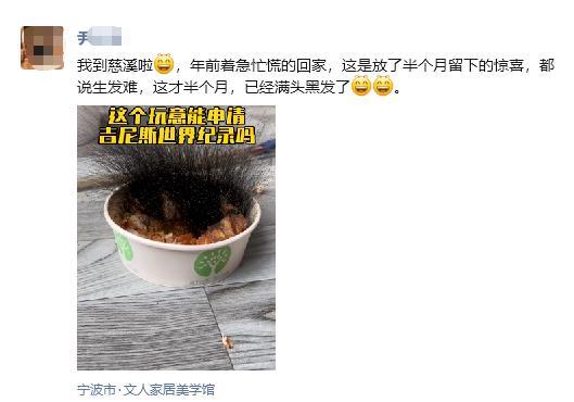 在办公室过年的剩饭长出满头黑发 办公室惊现“黑色丛林”