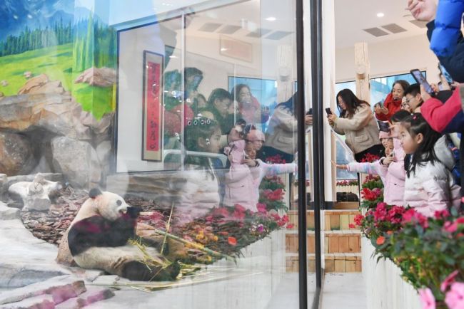 冰雪魅力升温——春节假期新疆文旅气象新