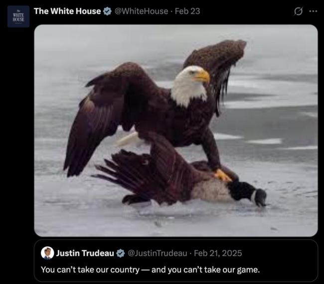 特朗普请美国运动员在白宫吃麦当劳 庆祝胜利独特方式