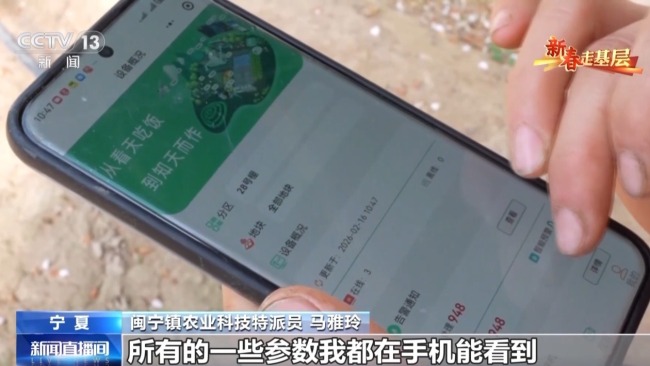 山海协作30年!闽宁镇的年味里,藏着幸福密码