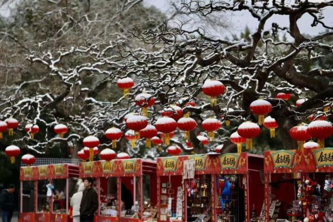 北京马年第一场雪来了 古都银装素裹迎新春