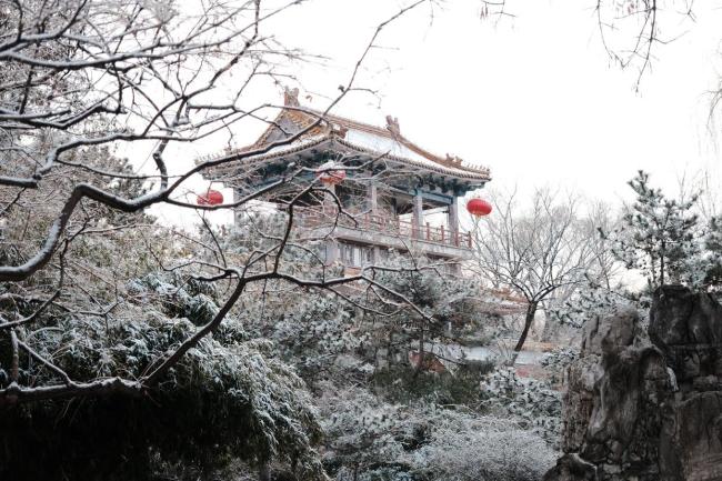 马年初雪喜降京城 网友纷纷晒出雪景照