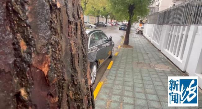 女子用钱雇东谈主追踪丈夫后续 私家考核触法网