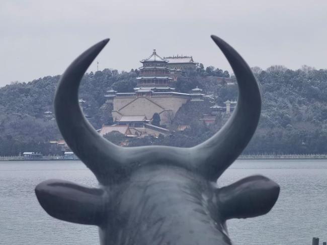 马年初雪喜降京城 网友纷纷晒出雪景照
