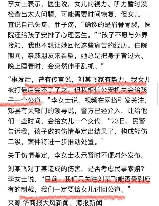 河南打人夫妇被批捕 寻衅滋事罪成立