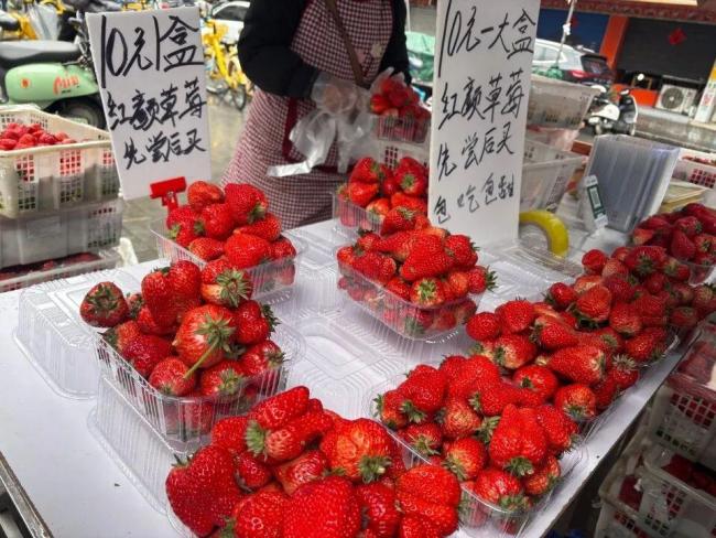 草莓大降价低至1元每斤 武汉实现草莓自由