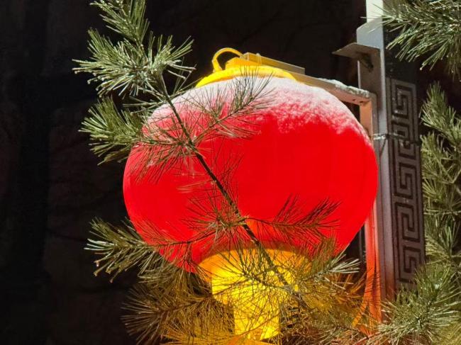 马年初雪喜降京城 网友纷纷晒出雪景照