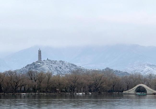 马年初雪喜降京城 网友纷纷晒出雪景照