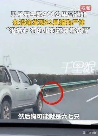 三百公里高速发现62具宠物尸体 不规范运输酿悲剧