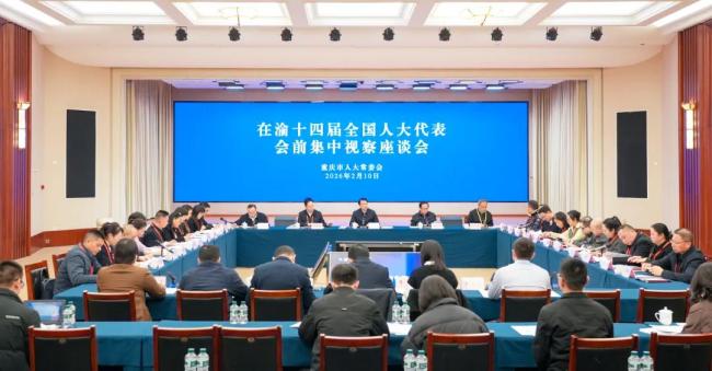 多地全国人大代表两会前集中视察 聚焦高质量发展