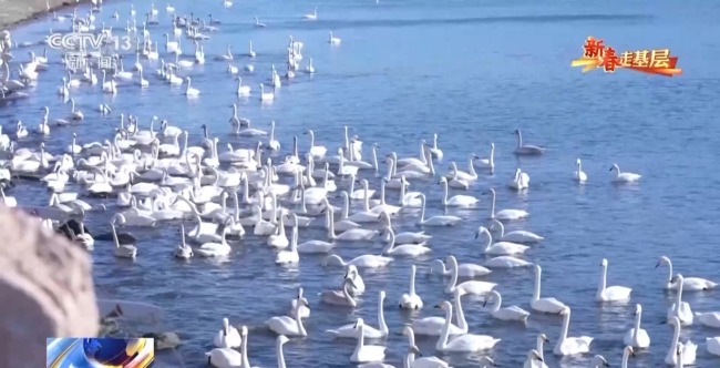 新春走基层丨穿行山海间的幸福列车 一路相伴