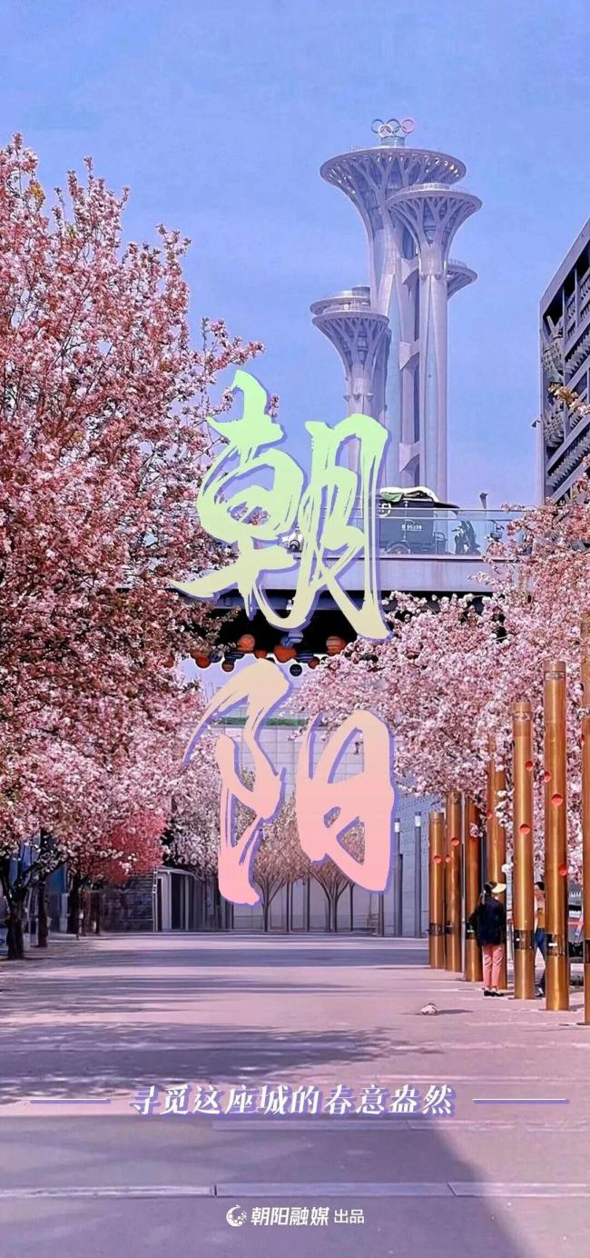 北京CBD里的春天