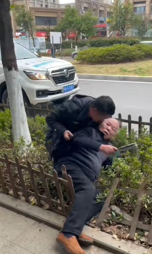 老人摔倒在街头花坛 众人接力扶起 温暖一幕感动蔡甸