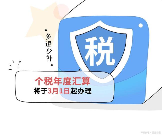 今年你是退税还是补税了