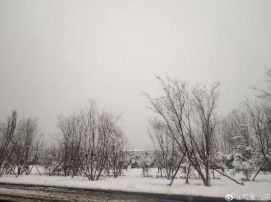 北京飘雪 瑞雪兆丰年的既视感有了 京城迎来初雪美景