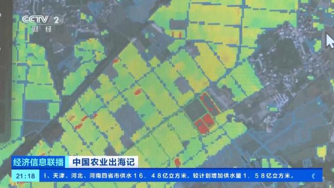 稻田变身“无人农场” 看AI“最强大脑”如何种地