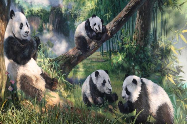 喜鹊薅“七仔”毛筑巢