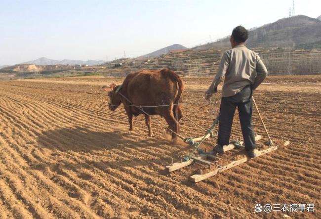 今日八九尾，下雨有何预兆？春雨贵如油