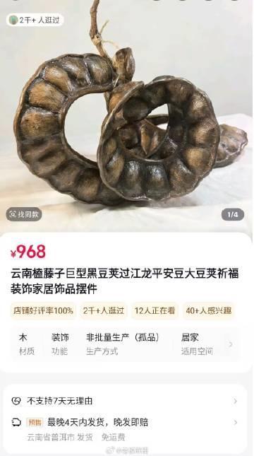 商家回应巨型豆荚卖968元 孤品自然形成