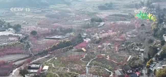 去踏青，春意正浓！“春日经济”蓬勃绽放